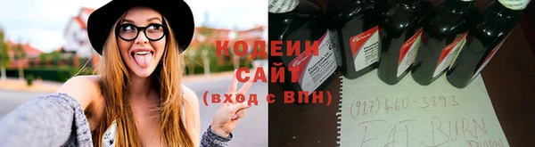 ГАЛЛЮЦИНОГЕННЫЕ ГРИБЫ Горно-Алтайск
