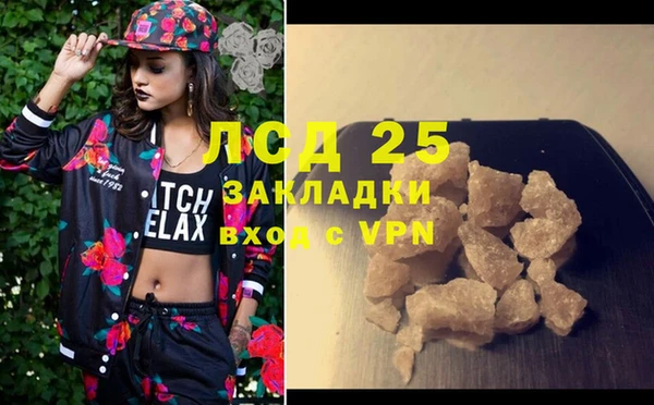 PSILOCYBIN Горняк