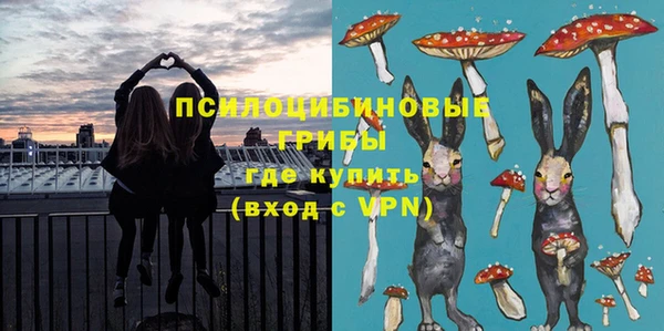 PSILOCYBIN Горняк