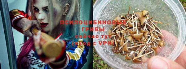 PSILOCYBIN Горняк