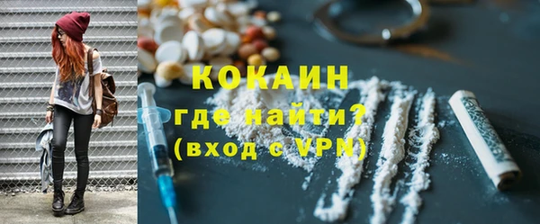 ГАЛЛЮЦИНОГЕННЫЕ ГРИБЫ Горно-Алтайск