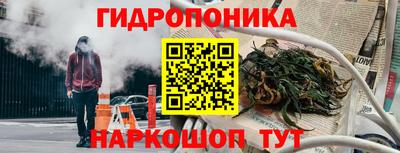 PSILOCYBIN Пугачёв