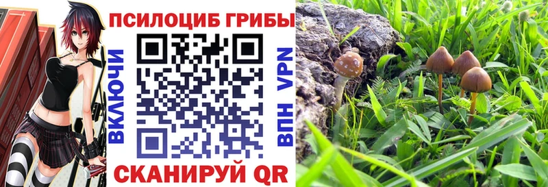 наркота  Армавир  Псилоцибиновые грибы ЛСД 