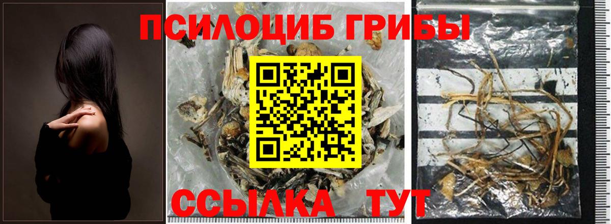 Армавир  Псилоцибиновые грибы Magic Shrooms  Вход с VPN  Галлюциногенные грибы мухоморы 