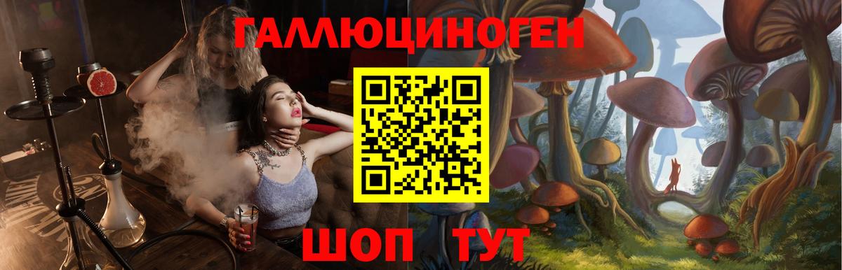 Галлюциногенные грибы Cubensis Армавир